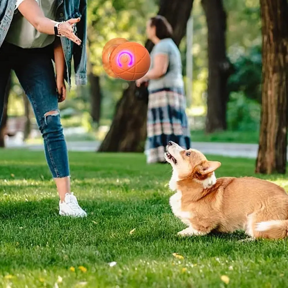 Interaktiver Haustierball — Fördert Spiel, Spaß & Fitness deiner Tiere Mivoza Deutschland