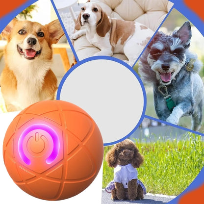 Interaktiver Haustierball — Fördert Spiel, Spaß & Fitness deiner Tiere Mivoza Deutschland