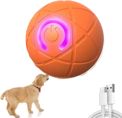 Interaktiver Haustierball — Fördert Spiel, Spaß & Fitness deiner Tiere Mivoza Deutschland