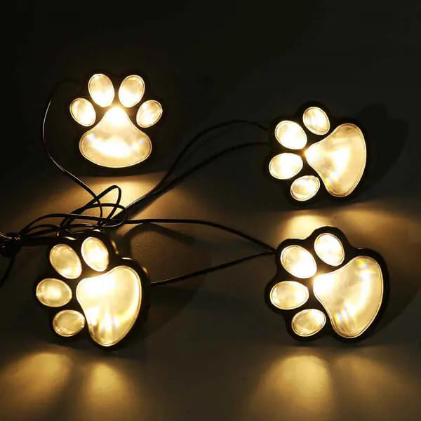 PawLights™ Solarbetriebene Pfotenlichter Mivoza Deutschland