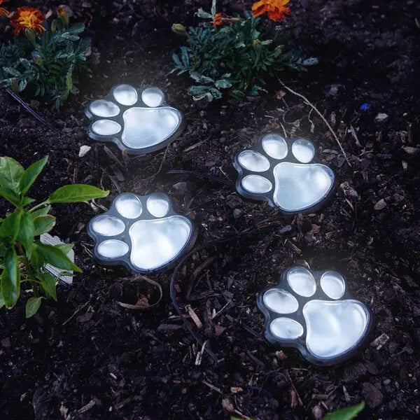PawLights™ Solarbetriebene Pfotenlichter Mivoza Deutschland