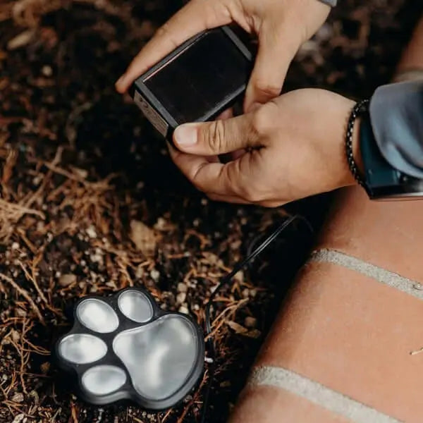 PawLights™ Solarbetriebene Pfotenlichter Mivoza Deutschland