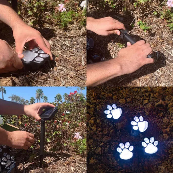 PawLights™ Solarbetriebene Pfotenlichter Mivoza Deutschland