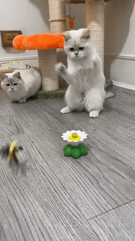 PetJoy® Elektrisches Vogelspielzeug für Katzen – Fördert Spiel, Bewegung und Glück! Zorenza