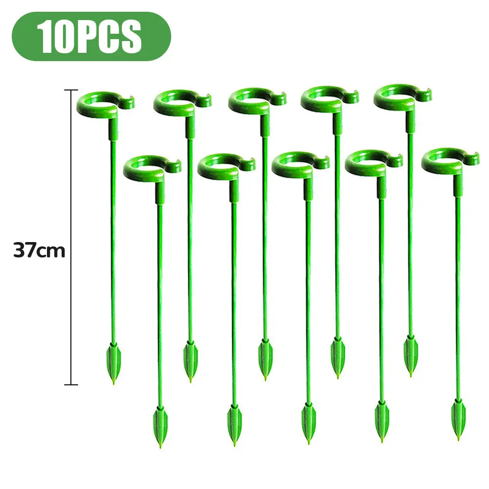 PlantSupport™️ Pflanzenstütze Pfahl Mivoza Deutschland