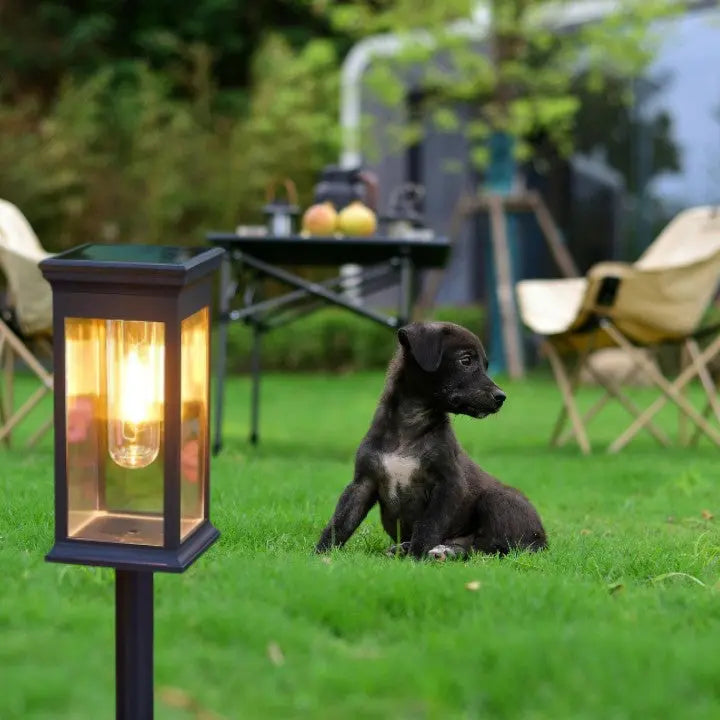 Solarleuchten im Laternenstil – Warmweißes Licht für Gartenwege & Beete (2er-Set) Zorenza