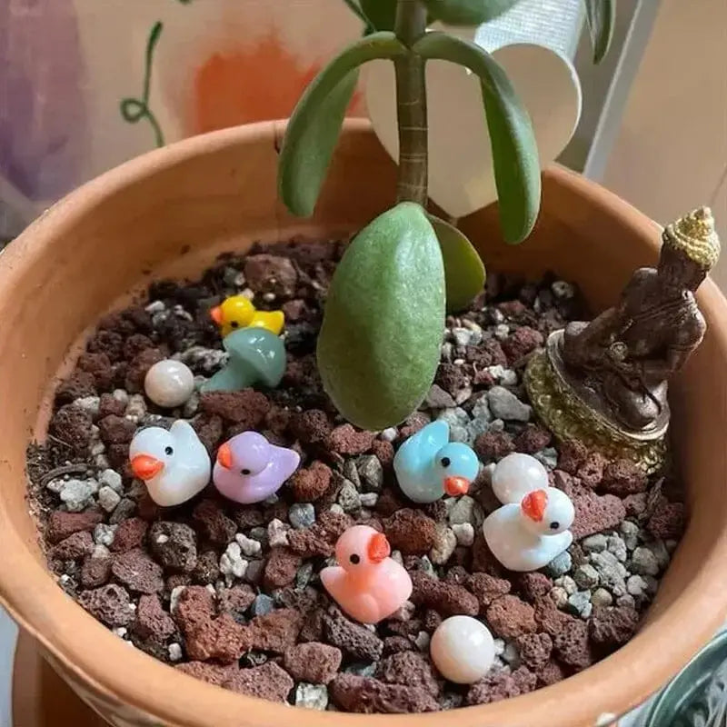 TinyDucks™ Herausforderung Versteckte Enten (100 Stück) Mivoza Deutschland
