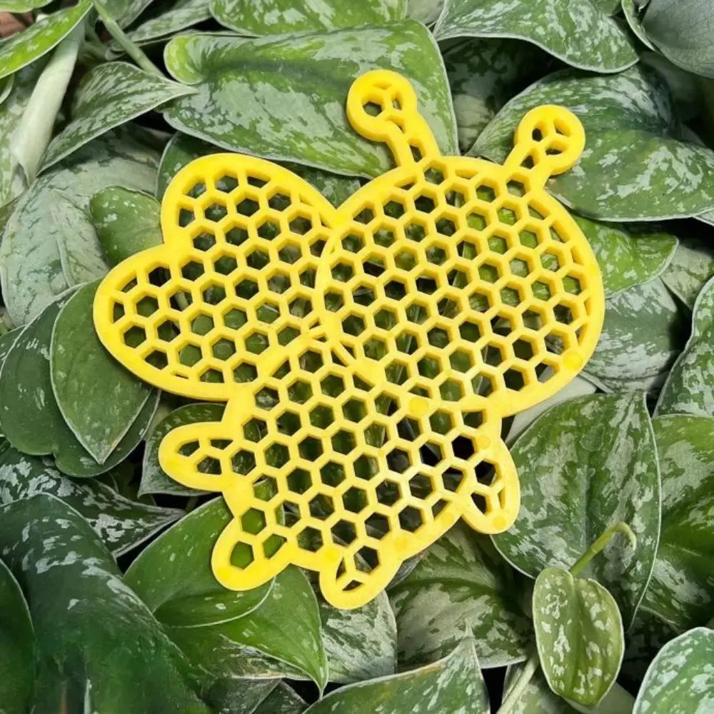 Trinkstation für Bienen | Schwimmender Schutz mit Beifuß Zorenza