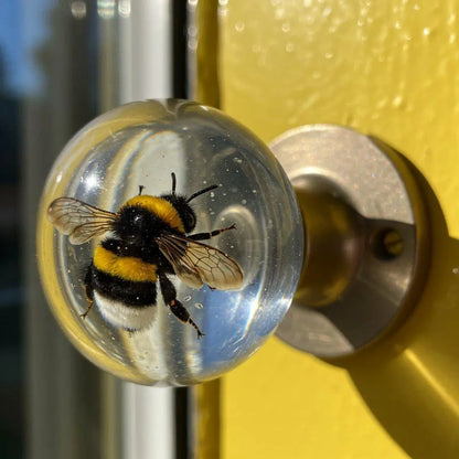 ✨Unique decorative door handle Mivoza Deutschland