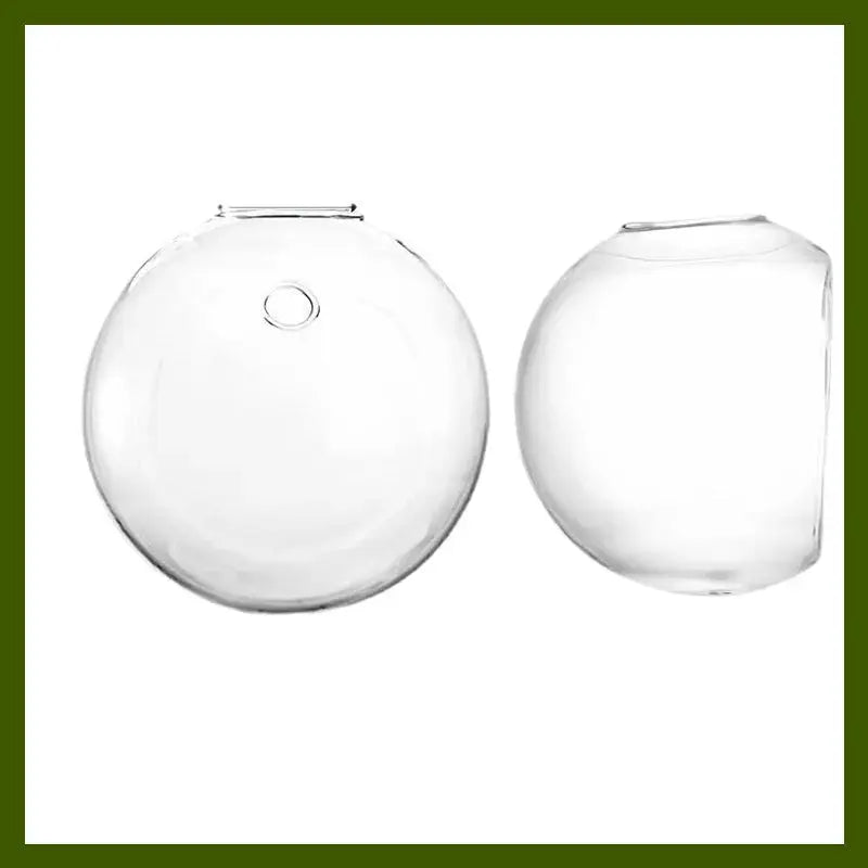 Wandpflanzenhalter — Vertikaler Garten & dekoratives Fischglas Mivoza Deutschland