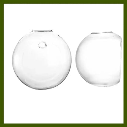 Wandpflanzenhalter — Vertikaler Garten & dekoratives Fischglas Mivoza Deutschland