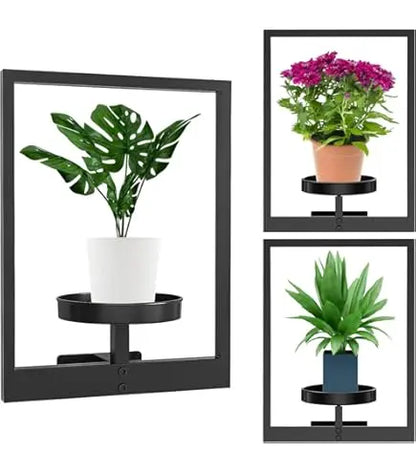 Wandpflanzenhalter — mehr Leben und Stil an der Wand Mivoza Deutschland