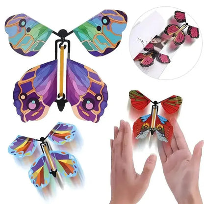 WhimsiWings™ | Schaffe magische Momente! Mivoza Deutschland