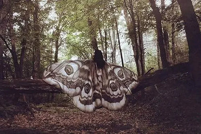 Mystischer Umhang „Grey Moth“ – Eleganter Zauber für Ihre Auftritte Zorenza