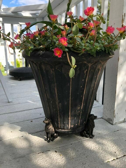 Niedliche tier topffüße set Zorenza