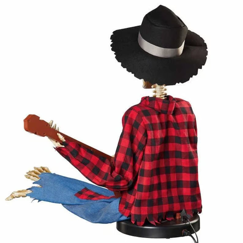 Animiertes Banjo-Duo — sorgt für unvergessliche Feierfreude Zorenza