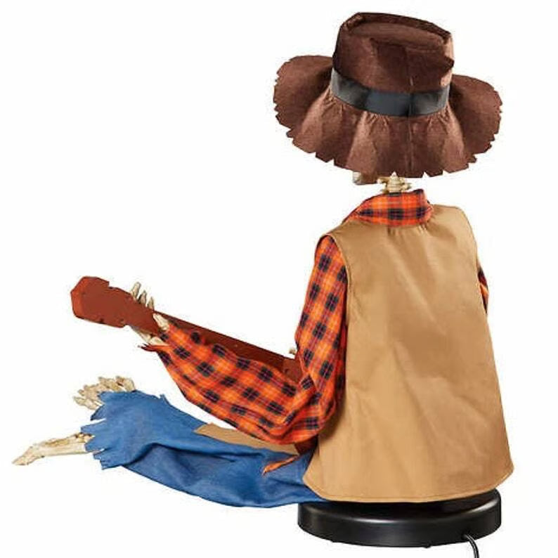 Animiertes Banjo-Duo — sorgt für unvergessliche Feierfreude Zorenza