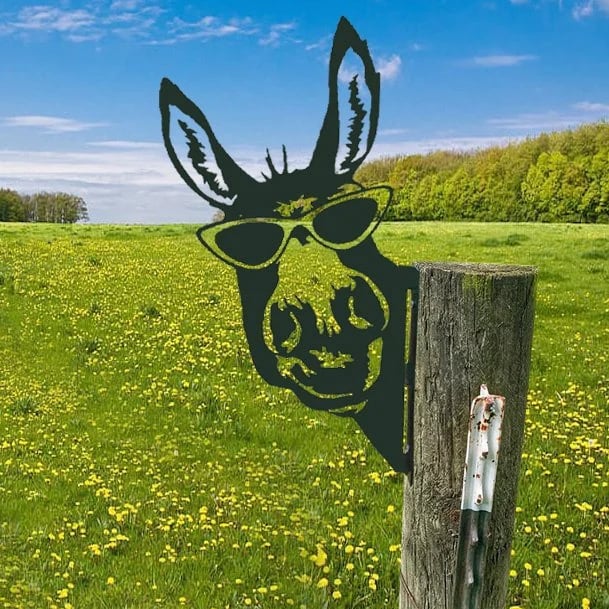🔥LAST DAY 70% OFF🎁Peeping Metal Farm Decor Garden Decor Animal Art Zorenza